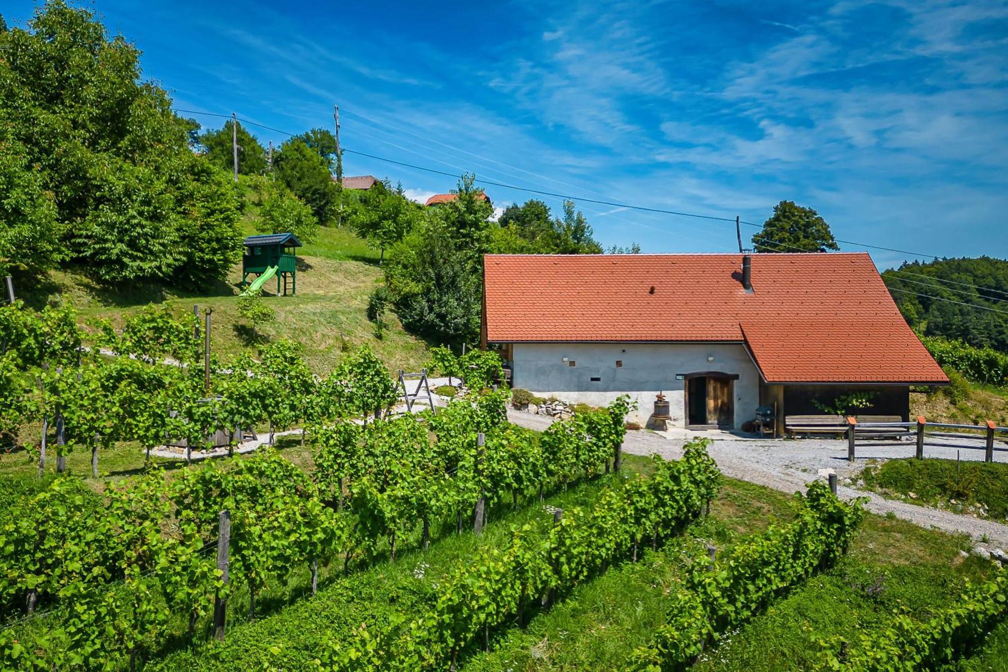 Vineyard Cottages Skatlar - Happy Rentals Otocec Exterior photo