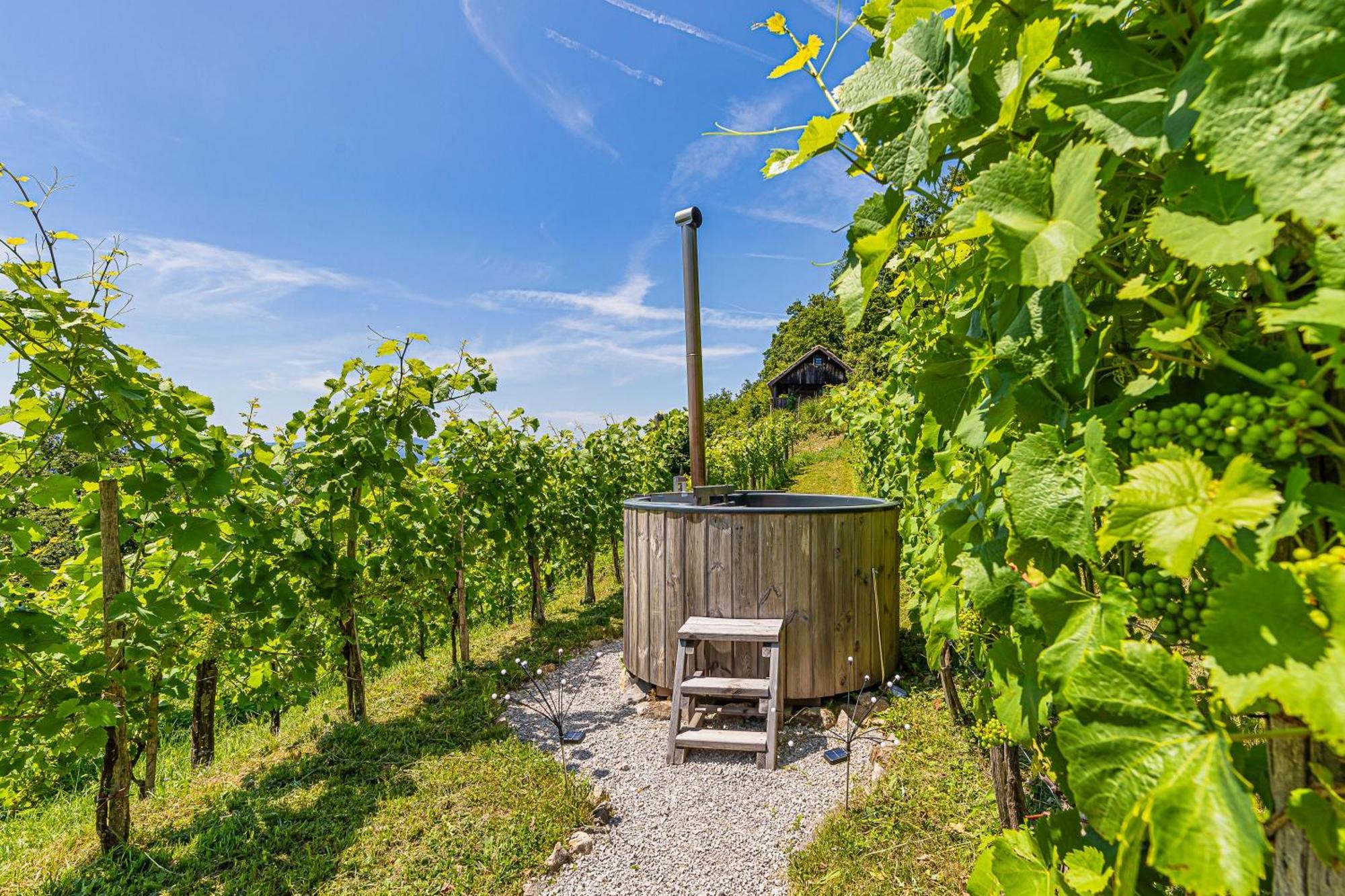 Vineyard Cottages Skatlar - Happy Rentals Otocec Exterior photo