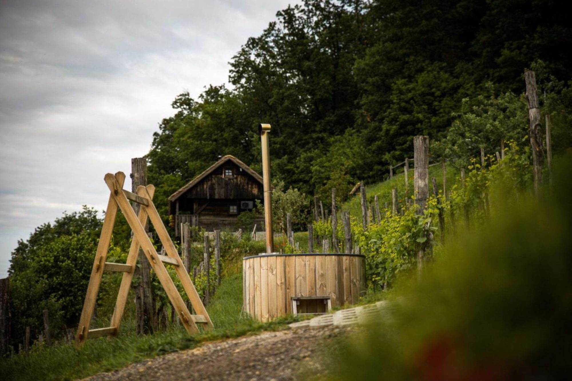 Vineyard Cottages Skatlar - Happy Rentals Otocec Exterior photo