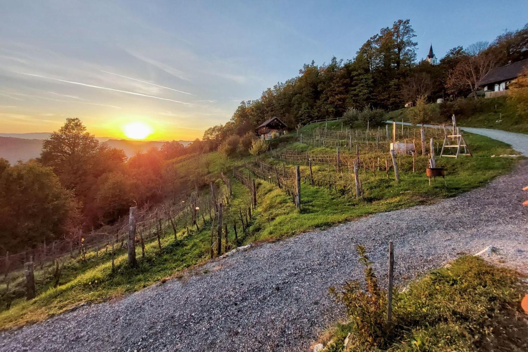 Vineyard Cottages Skatlar - Happy Rentals Otocec Exterior photo