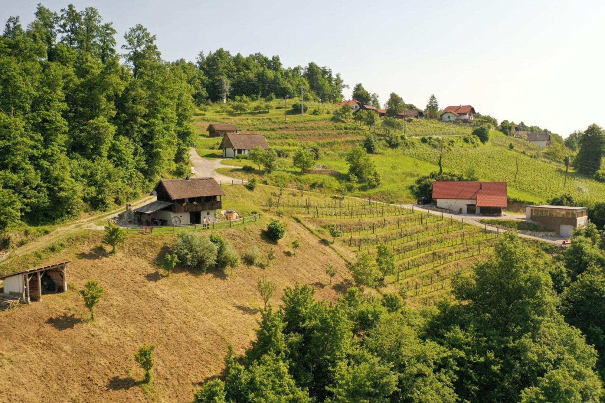 Vineyard Cottages Skatlar - Happy Rentals Otocec Exterior photo