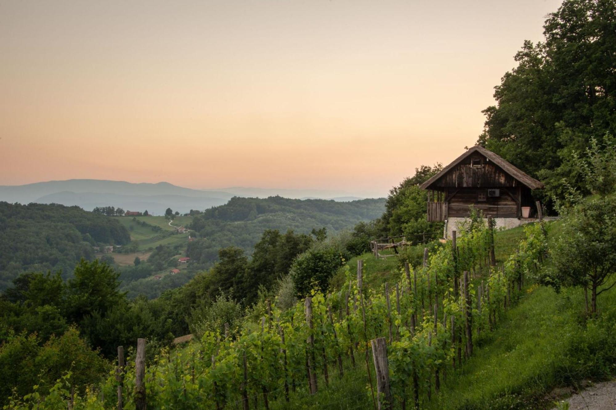 Vineyard Cottages Skatlar - Happy Rentals Otocec Exterior photo